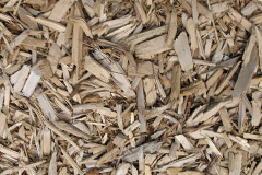 biomass boilers Ffrith